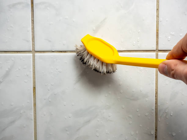 Office Mold Removal Services in El Verano, CA