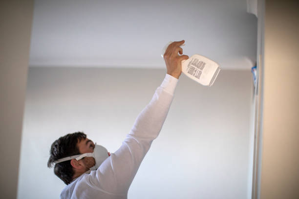Best Emergency Mold Removal  in El Verano, CA