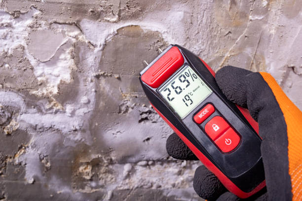 Best Residential Mold Removal  in El Verano, CA